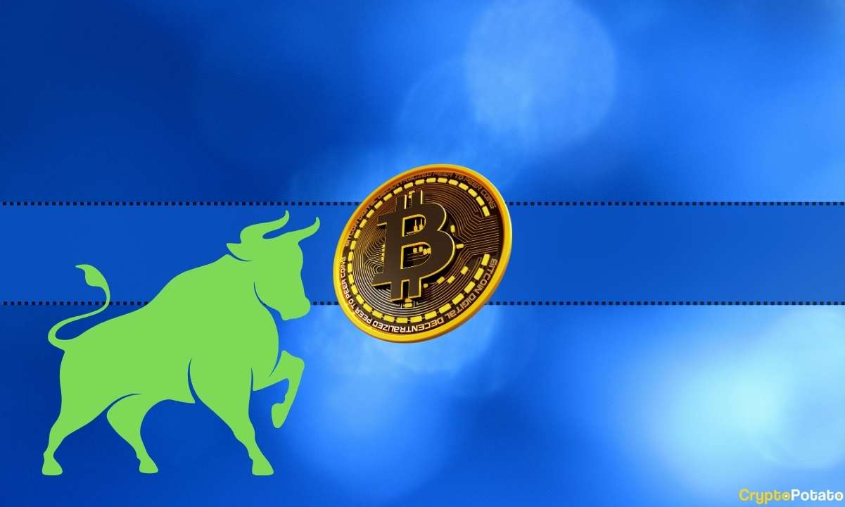 Bitcoin (BTC) Price Prediction: $40K Possible This Year? Expert Chips In