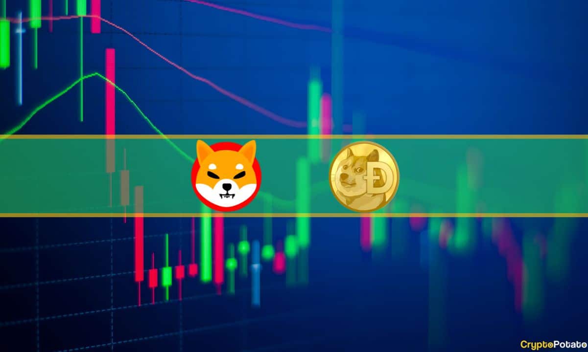 SHIB, DOGE Explode Double Digits, BTC Eyes $35K (Market Watch)