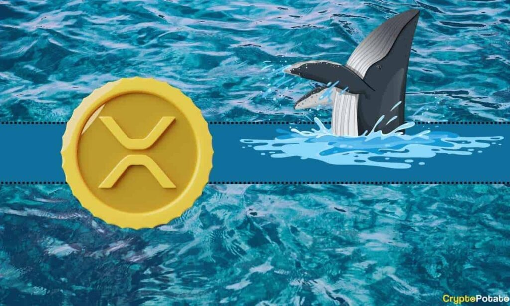 Important Ripple (XRP) Metric Hits Its Highest Level in 2023: Details