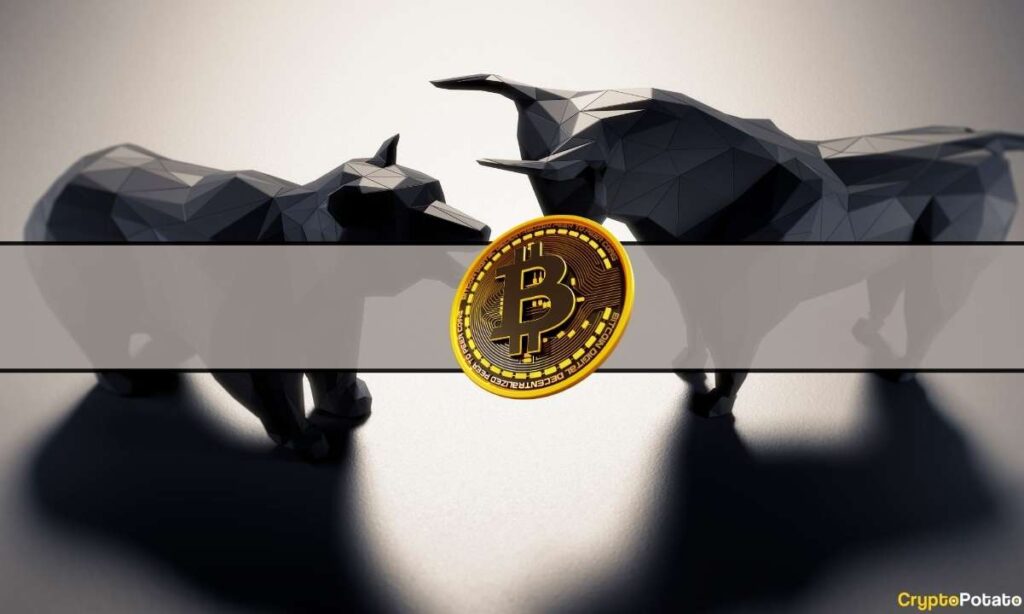 Bitcoin Bull Market Patterns Start to Appear: Bitfinex Alpha