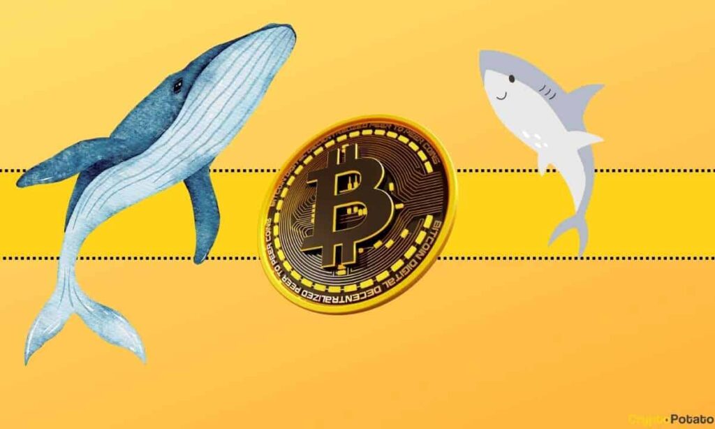 This Whale is Cashing Out Millions as Bitcoin (BTC) Price Correction Looms