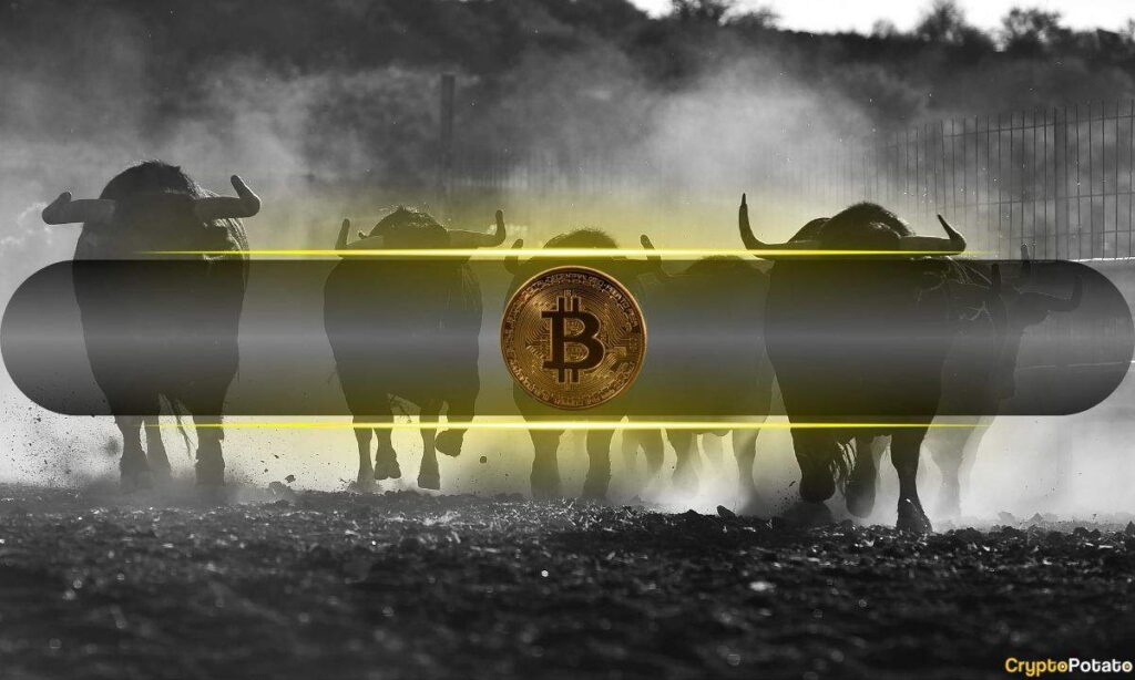 8 Signs The Bitcoin Price Bull Market Isn’t Over