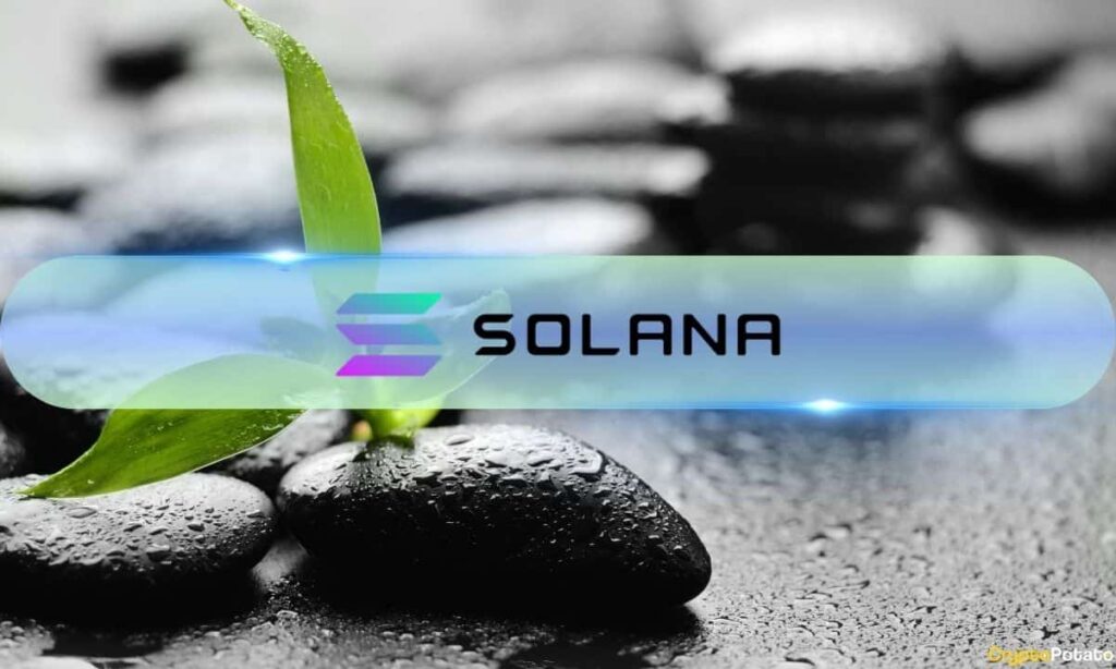 Solana Marks Consistent Growth in Developer Ecosystem: Data