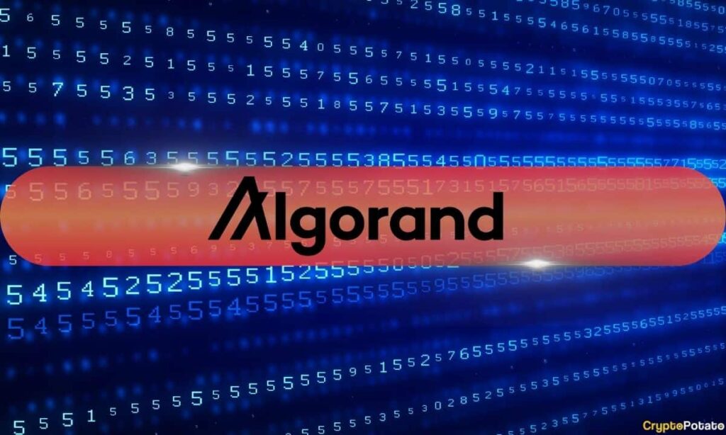 Algorand Foundation CEO’s X Account Hacked