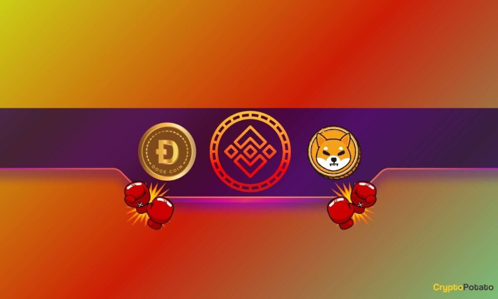 Big Binance Announcement for Shiba Inu (SHIB) and Dogecoin (DOGE) Traders: Details